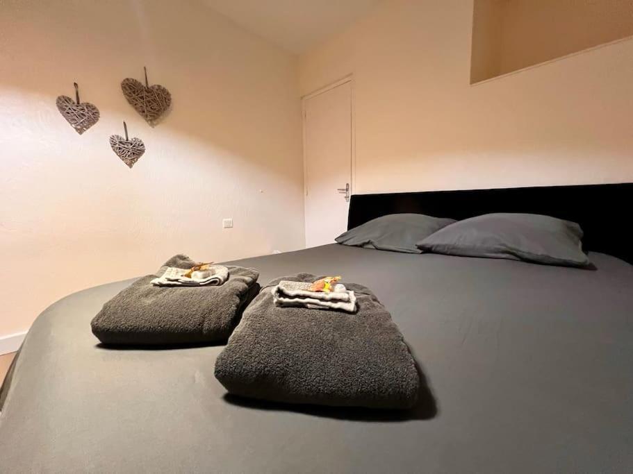 Appartement Climatise 4Prsn Au Pied De La Citadelle Besançon Esterno foto